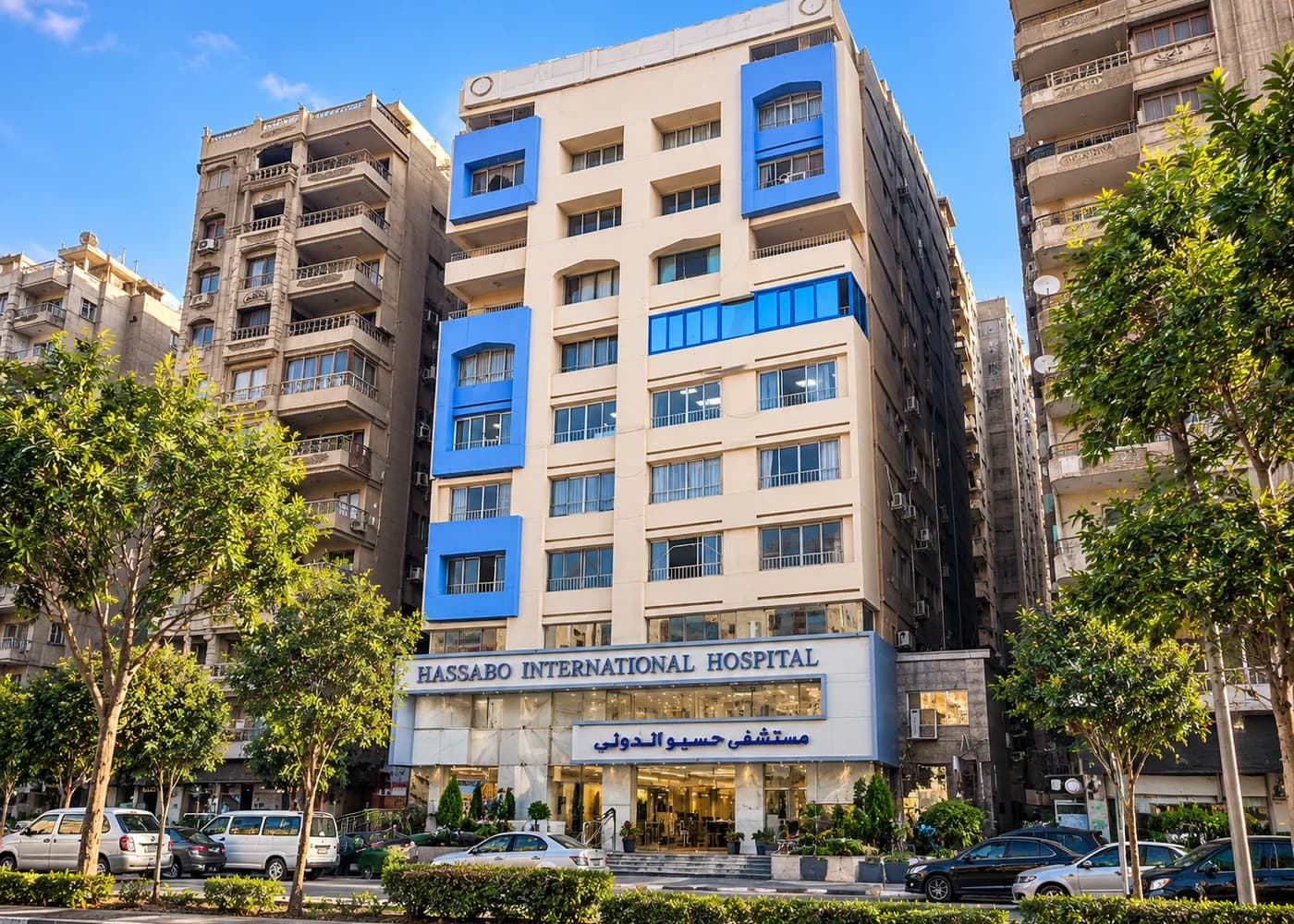 تصميم بصري عن إرث مستشفى حسبو الدولي